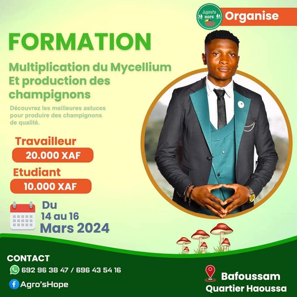 Formation champignons